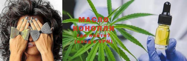 молекула духа Инсар
