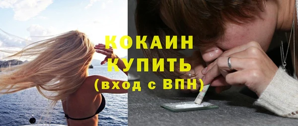 стафф Инта