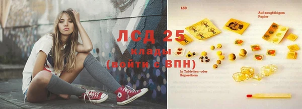 стафф Инта