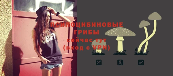 молекула духа Инсар