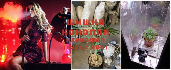 стафф Инта