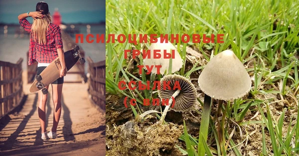 гидра Иннополис