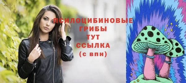 молекула духа Инсар