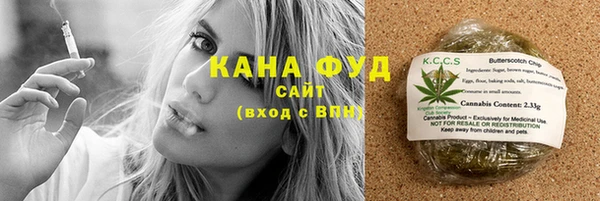 молекула духа Инсар
