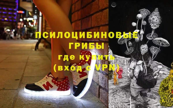 молекула духа Инсар