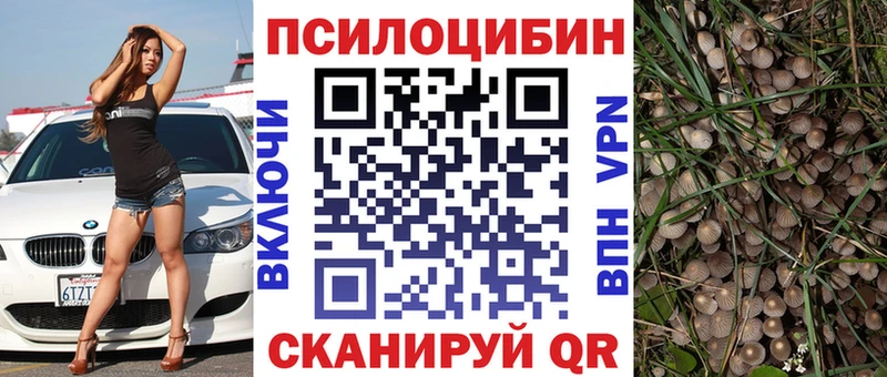 Псилоцибиновые грибы мухоморы  Купить закладки  Новоуральск 